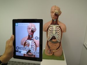Виртуальная реальность и анатомия